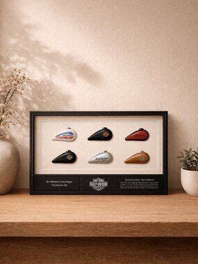 Harley-Davidson Framed Tanks Display 2015 Big Moose Portland Maine Dealership